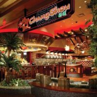 Fortunate champ takes house $2 1 million after striking jackpot free pokie apps at the Hands