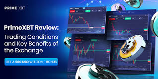 Comprehensive Guide to the PrimeXBT Platform Philippines