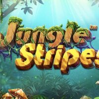 Aztlans Silver Slot: Finest Free Incentives Now offers