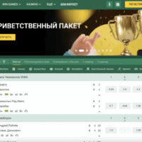 Experience Thrilling Gaming Adventures at Betwinner Casino