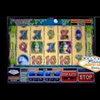 Ladbrokes Gambling establishment Added lion dance slot bonus Code, Totally free Gambling establishment No deposit Incentives 2025