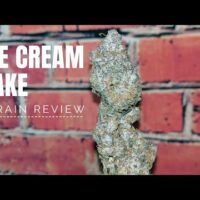 The newest 6 Finest Weed Killers from your Hand-On the Examination