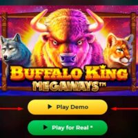 مراجعة لعبة Buffalo King Megaways من براغماتيك بلاي للاعبين التونسيين