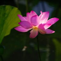 Лото Авиаклуб Страна Lotoclub Скачать а также Делать Аккурат Сегодня