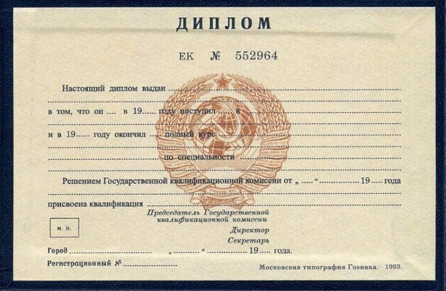 Купить готовый диплом Перспективы и Риски