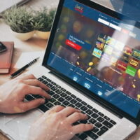 Great Grizzly Slot Game: Hunt Down Huge Jungle Fortunes