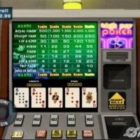 Termos & Condições do Jogo Bicho: Regras Importantes a Saber