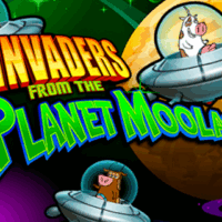 Insane Crazy North Position Remark 100 percent free Gamble No deposit Expected