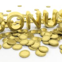 SpinRise No deposit Extra Codes & Opinion