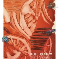 Pleased Dolphin $1 put 5 Trial amigos fiesta $1 put 2025, Delight in Status Free