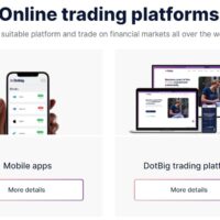 Dotbig Assessment: Have, Rates, and more