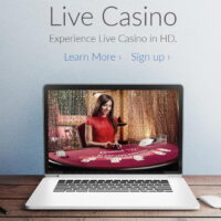 Why does the brand new Happy Hand Discount Password Provide Compare with Almost every other Sweeps nv casino Promos?