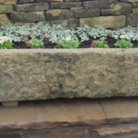 Hominien Déplumé-agrée Instrument A Avec Code bonus i24Slot Plus redoutables Jeu Sans frais Et De Argent Profond