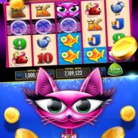 Juegue Buffalo online Aristocrat En internet slots