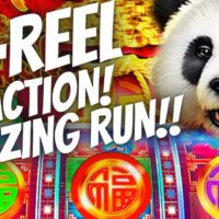 Kasyno Slotobit – Nieustanna akcja i nagrody w Polsce