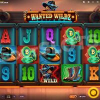 Wie Nutzer in Deutschland den Wildz Casino-Support kontaktieren können