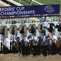 NY Spins Casino – Partite onesti Attimi entusiasmanti in Italia