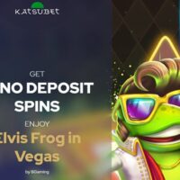 Bison Casino – Das Online-Casino, über das in Österreich alle spricht