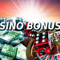 My Path From Beginner to VIP at Lamabet Casino in New Zealand