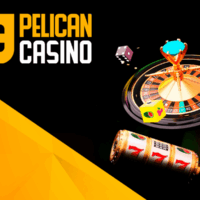 Pelican Casino – analiza popularności gry na rynku polskim
