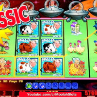 Almost every other nv casino Campaigns and you will Bonuses into McLuck Local casino