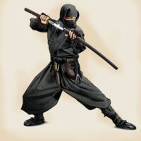 Review do Ninja Crash: O Jogo de Cassino Online da Galaxsys para Jogadores Brasileiros