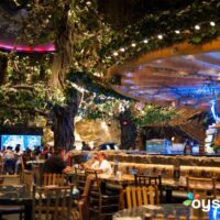 KamaGames Launches Pharaohs 50 free spins casino no deposit Gold Slot