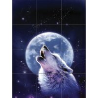 Rozwój walut cyfrowych Kasyno Wild Robin wprowadza płatności kryptowalutowe w Polsce