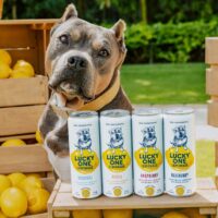 Lucky Ones Casino – Mehr Spins, zusätzliche Gewinne, weiterer Nervenkitzel in Österreich