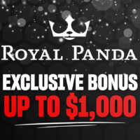 Golden Panda Casino is een bekende naam in online gaming in Nederland.