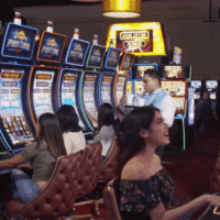 Understanding the social dynamics of gambling a closer look at community interactions