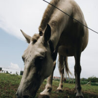 Online Casino Canada Real Money Reviews.3