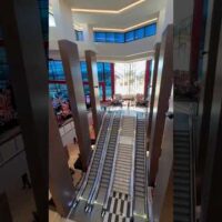 Protestation & Exklusiver Maklercourtage