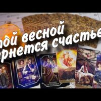 10 Really Exact On line Tarot Members 2026: Fully Checked