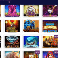 Greatest Free Twist Offers on the On line United states Gambling enterprises within the August 2025