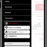 Gambling enterprise emu sixty dollars extra wagering requirements casino Vintage