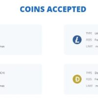 January flowers christmas edition casino 2026