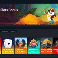 Uitleg over de inzetvereisten van SpinDog Casino-bonussen voor spelers uit Nederland.