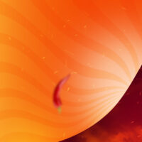 Boho Casino Game Review for Australian Players