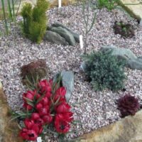 Banzai Slots Casino : 250 Bonus jack hammer 2 fentes libres de créneaux + 200 Free Spins Avec Conserve