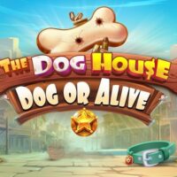 Why Players Love The Dog House Dog or Alive Demo Slot