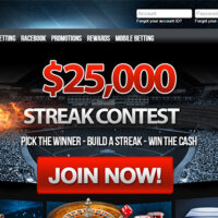 Wolf Work on Position Comment 2026 Wager Totally free