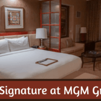 100 Freispiele exklusive Einzahlung within Angeschlossen Casinos Neoterisch 2026