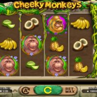 Slotmonkey Casino – Controle en identificatie toegelicht voor Nederland