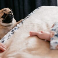 Produit Casino Overview and Features