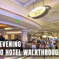 Paddy Energy Gambling enterprise No deposit Totally free Spins January 2026: Claim 260 Totally free Spins