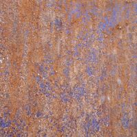 7bit Casino NZ Real Money Gaming