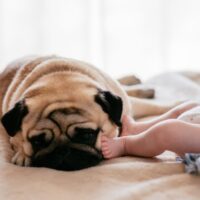 Superbet Casino APK Download Play Now