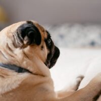 Best Way to Make Money at a Casino