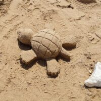 Casino Royale Miami Welcome Bonus